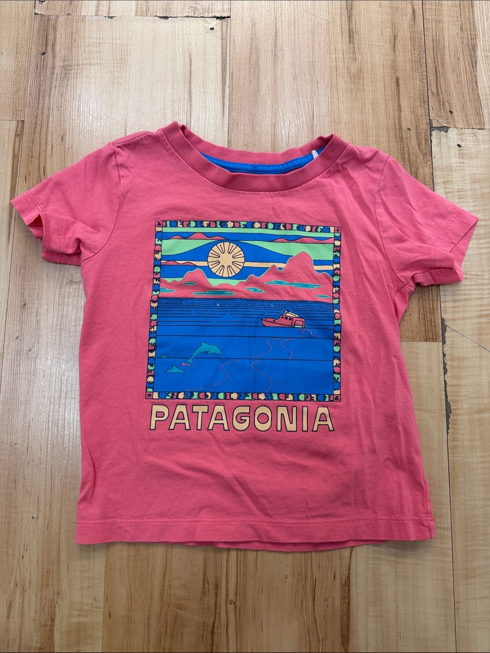 Patagonia Graphic T-shirt 2T